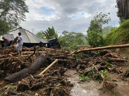 Zona afectada por 'Agatha' en Santiago Xanica, en la Sierra Sur de Oaxaca. Foto La Jornada