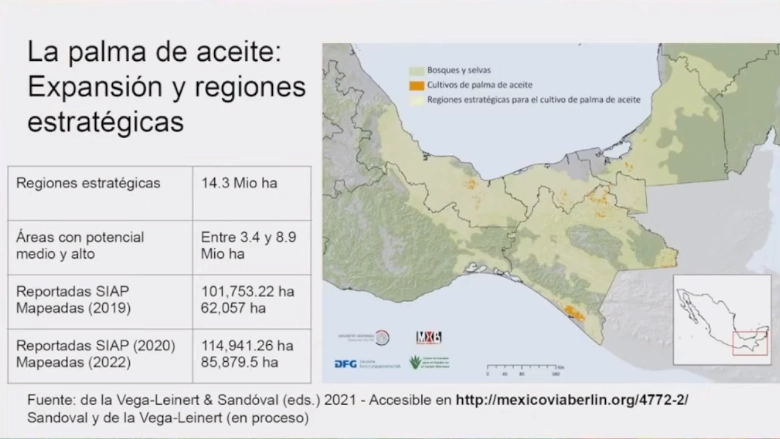 Imagen presentada durante el durante el conversatorio Impactos socioambientales del cultivo de palma de aceite, convocado por Conacyt, transmitido por Facebook 
