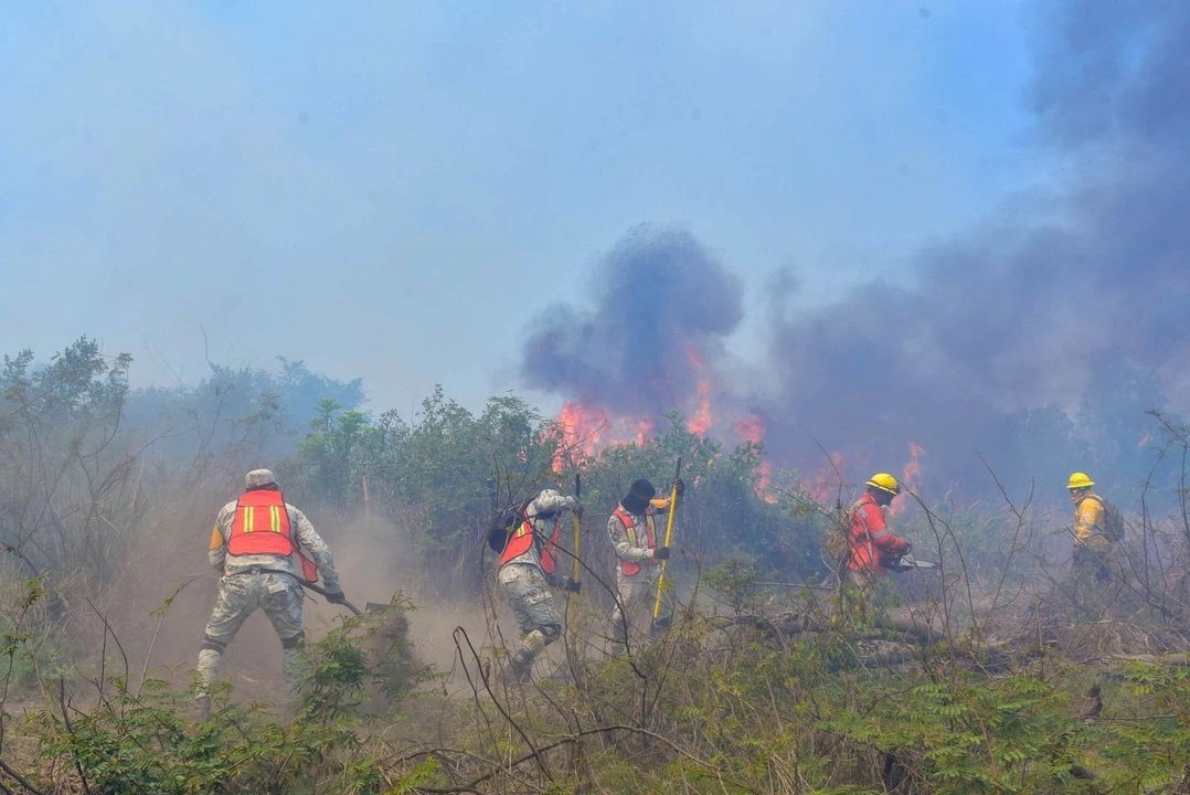 Incendio forestal en Guerrero en imagen de archivo. Foto 