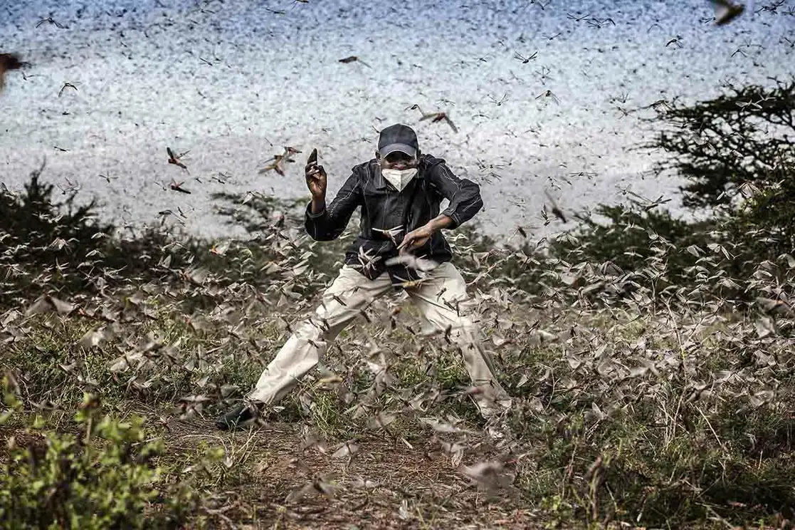 'Lucha contra la invasión de la langosta en el este de África', de Luis Tato (España). Foto cortesía del Museo Franz Meyer