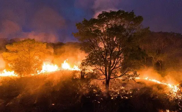 Los incendios en Pantanal llevan ardiendo más de una semana pese a ser combatidos por bomberos, ambientalistas y hacendados. Foto Afp 