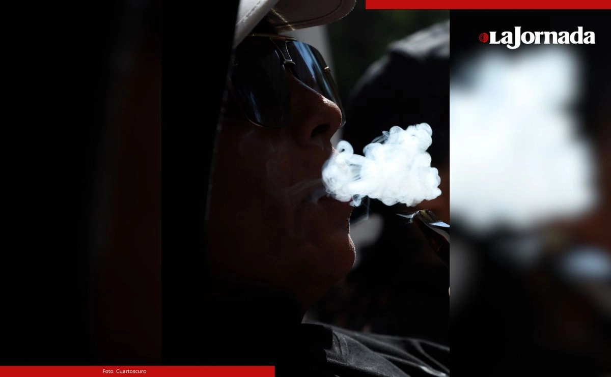 El dictamen prevé crear un nuevo capítulo en la Ley General de Salud sobre cigarrillos electrónicos, vapeadores y dispositivos análogos que establece su prohibición total y tipifica como delito la violación de esta prohibición. De esa manera se prevé la prohibición total de todas las actividades de producción, manejo, comercio y suministro de estos dispositivos.
