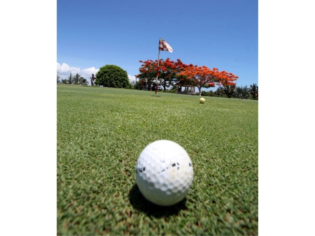 La Segob señaló que el agua ocupada por el campo de golf para regar el pasto representa el consumo de todos los pobladores de Oaxaca por 10 días y más de 2 años del consumo de la población de Santa María Huatulco. Foto Cuartoscuro / Archivo
