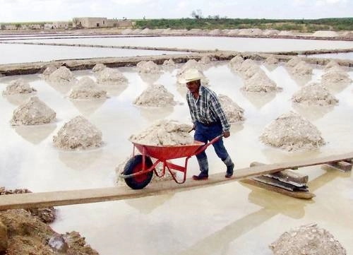 Las salinas en la zona semidesértica entre San Luis Potosí y Zacatecas son susceptibles de explotación de litio. Foto Alfredo Valadez Rodríguez / Archivo