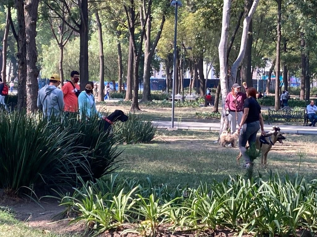 Paseadores de perros, el 17 de julio de 2022. Foto Bertha Teresa Ramírez