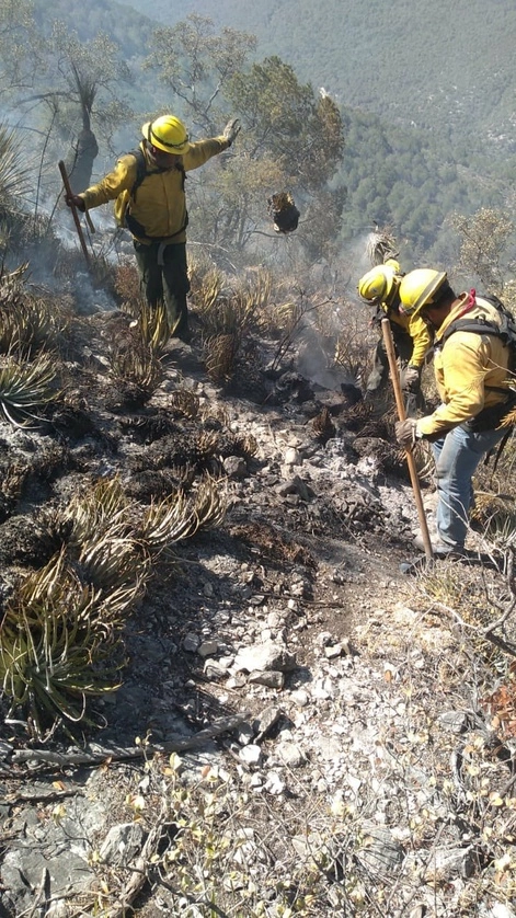 Trabajadores de Protección Civil trabajan en la zona. Foto @fgcabezadevaca