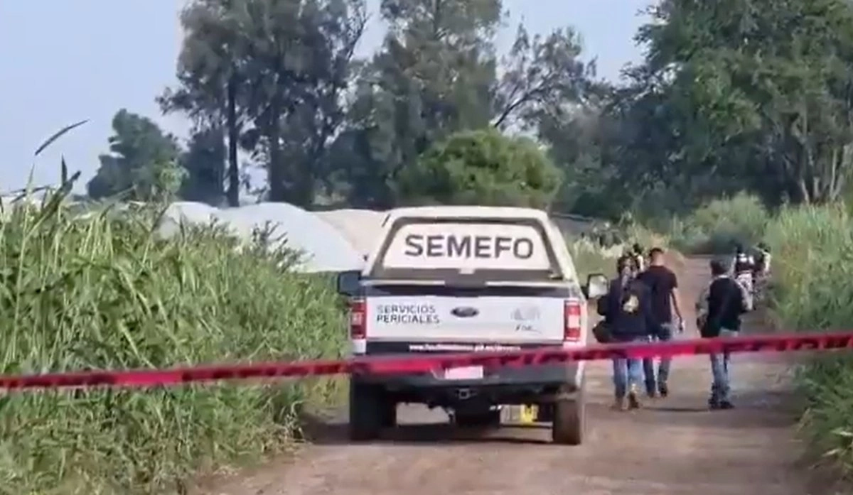 Los cuerpos de dos mujeres y un hombre, entre 15 y 23 años, quienes aún no han sido identificados, fueron encontrados en un camino de terracería de Jacona, Michoacán. Foto 