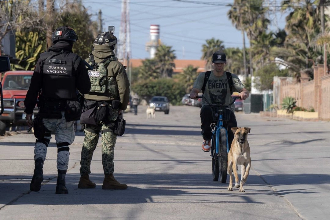 La SSPC subrayó que estas cifras reflejan el impacto de la estrategia de seguridad puesta en marcha por el gobierno federal, que incluye la participación de la Fuerza Armada Permanente, entre ellas la Guardia Nacional,  en coordinación con los tres niveles de gobierno. 