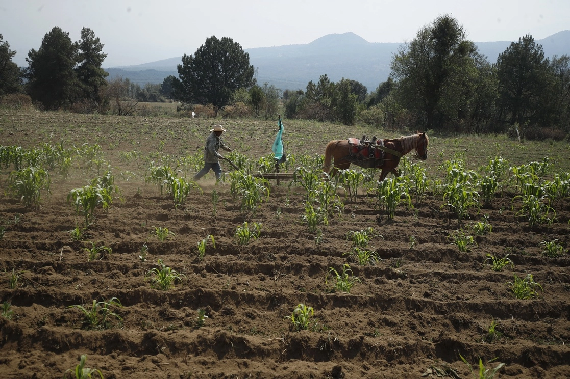 Parcela en la alcaldía de Milpa Alta. Foto Cristina Rodríguez / Archivo