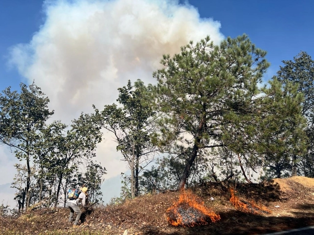 Incendio forestal en Oaxaca. Foto: La Jornada