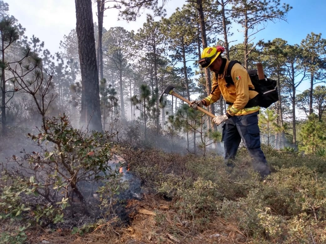 El incendio inició la mañana de este sábado en la comunidad Ciénega del Toro, informó Protección Civil del estado. Foto tomada de facebook @proteccioncivilnuevoleon