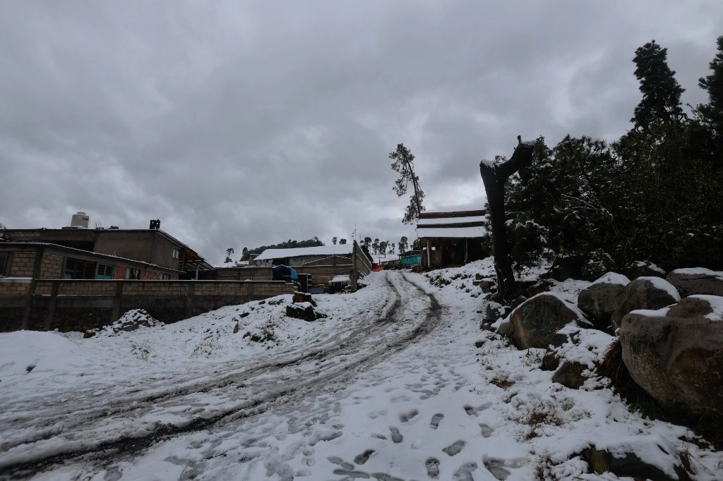 Para las próximas horas se espera que el clima siga descendiendo y en la capital del estado se pronostica que durante la madrugada, la temperatura sea menor a los cero grados centígrados. Foto Cuartoscuro