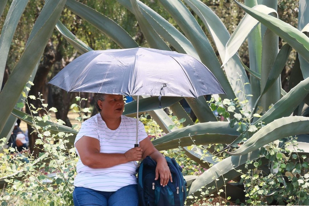 Una mujer utiliza una sombrilla para cubrirse de los rayos UV en CDMX. Foto 