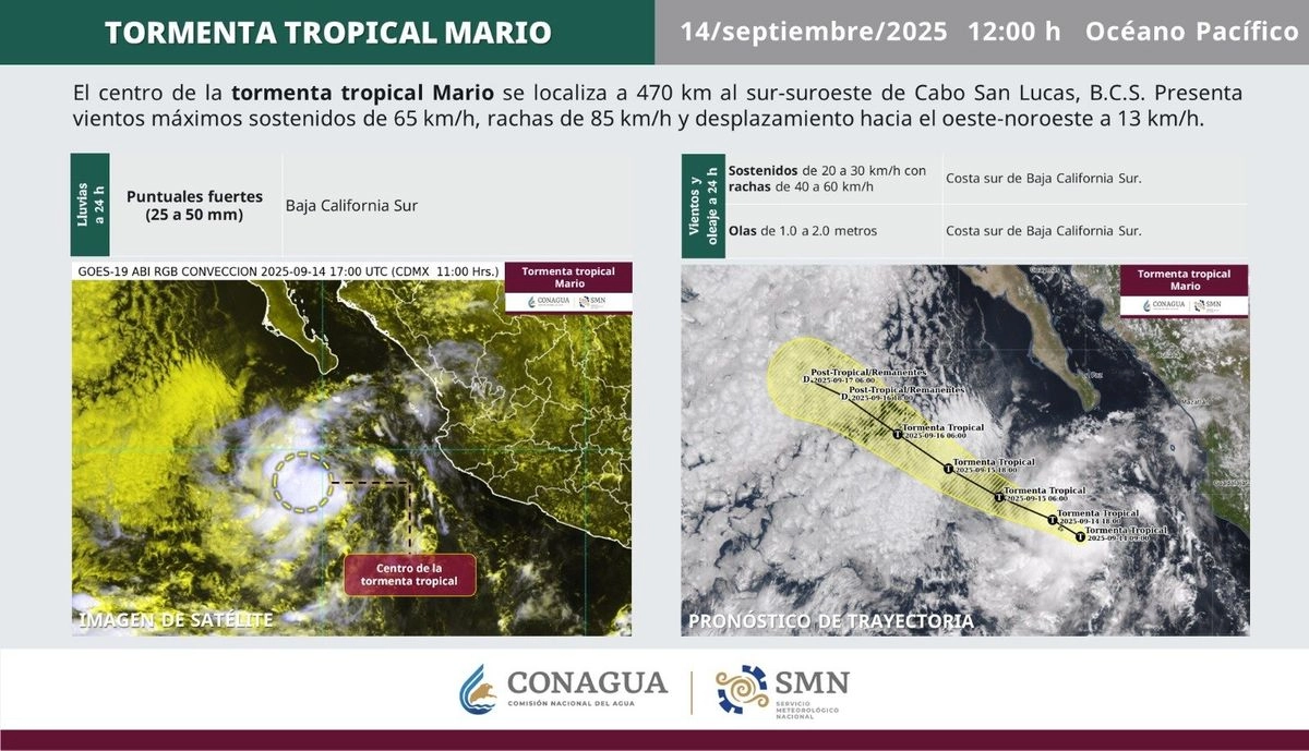 Informó el SMN que la tormenta tropical 'Mario' se localizó a 470 kilómetros al sur de Cabo San Lucas y presentó vientos máximos sostenidos de 65 kilómetros por hora. Foto 