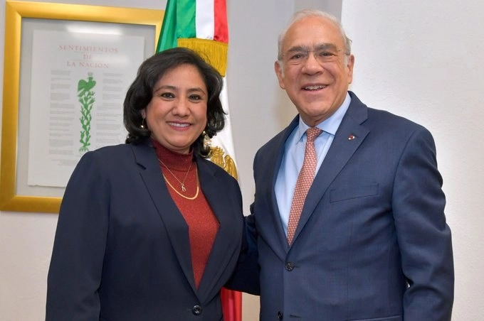 La titular de la SFP, Irma Sandoval (izq) y el secretario general de la OCDE, Ángel Gurría durante su reunión. Foto tomada de la cuenta de Twitter @SFP_mx