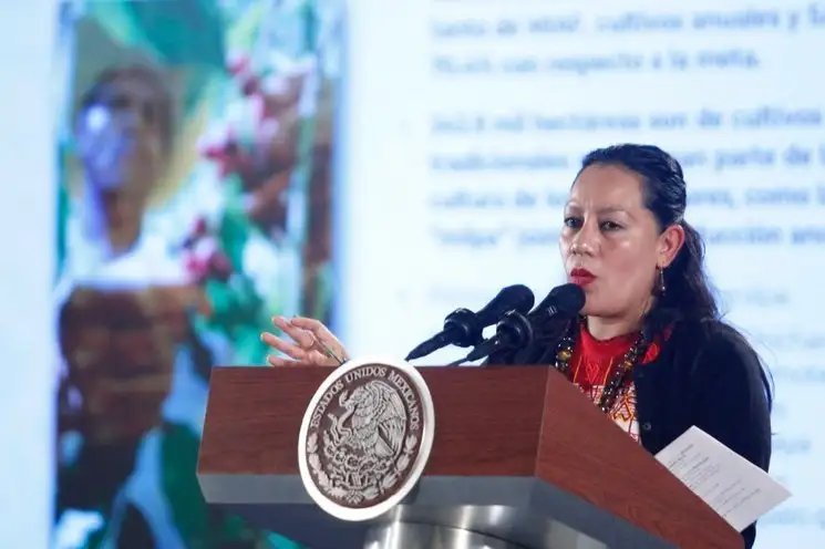 La scretaria de Bienestar, María Luisa Albores, durante una conferencia matutina. Foto Roberto García Ortiz / archivo

