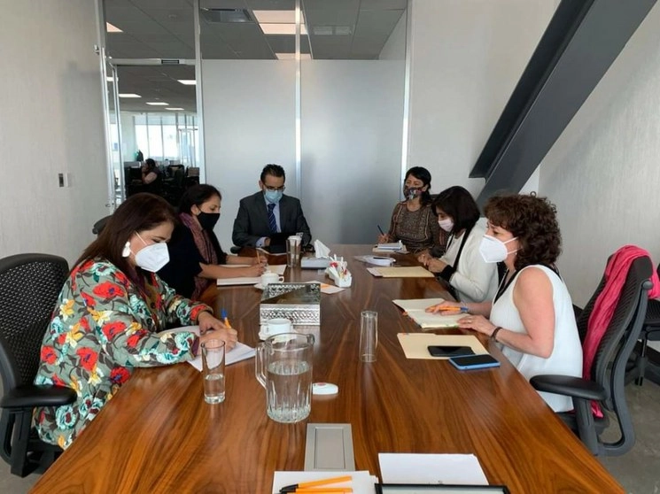 Reunión entre la titular de la Conavim, Fabiola Alanís y la a responsable de la Fiscalía Especializada en DH de la FGR, Sara Irene Herrerías. Foto tomada de la cuenta de Twitter @CONAVIM_MX
