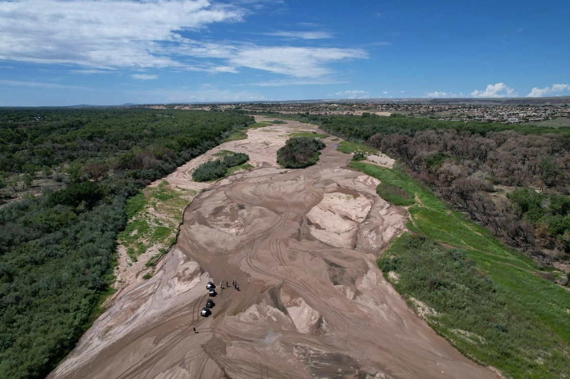 Biólogos tratan de rescatar a los peces plateados en peligro de extinción de los charcos que aún quedan del río en Albuquerque. Foto Ap