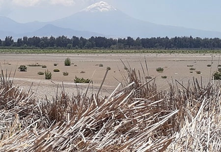 La sequía que afecta al país también impactó a la laguna de Xico, santuario de diversas especies de aves, ubicada en los límites de Tláhuac y el estado de México. Uno de los embalses se encuentra seco y otros a la mitad. Foto 'La Jornada'