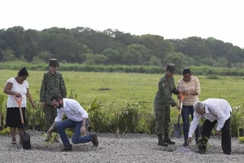 Los presidentes de México y de El Salvador, Andrés Manuel López Obrador y Nayib Bukele Ortez, sembraron dos árboles en el Vivero Forestal Militar de Tapachula, Chiapas. Foto Alfredo Domínguez / Archivo 