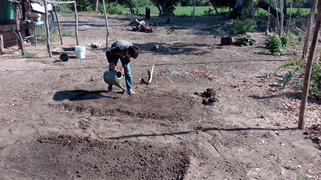 Alumnos de la telesecundaria ‘Emiliano Zapata’ en Tecuala, Nayarit cultivan rábanos en sus propios huertos. Foto La Jornada