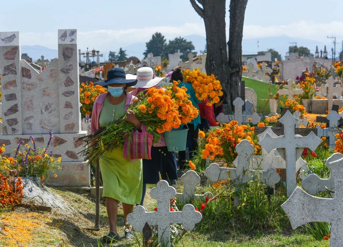 La derrama de 117 mdp estimada por la venta de flor de cempasúchil beneficiará principalmente a las alcaldías de Xochimilco, Milpa Alta y Tláhuac. Foto Cuartoscuro 
