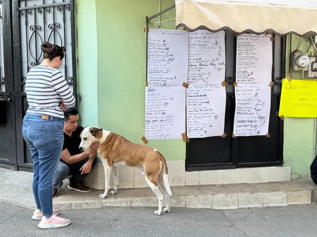 Vecinos recolectan firman para apoyar al albergue de animales donde ayer se realizó un operativo para recuperar varios animales que presuntamente se encontraban en mal estado de salud. Foto Alfredo Domínguez