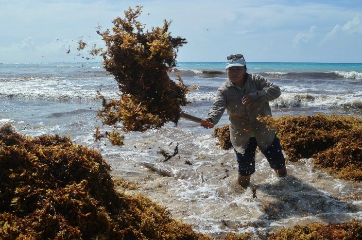 El objetivo de estas acciones es mantener las playas turísticas limpias. Foto Cuartoscuro / Archivo