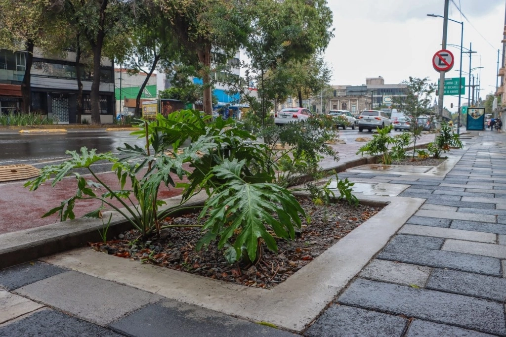 Se rehabilitaron y mejoraron un kilómetro lineal y 2 mil 804 metros cuadrados de banquetas en la avenida Insurgentes. Foto Tomada de X @LaSEMOVI 