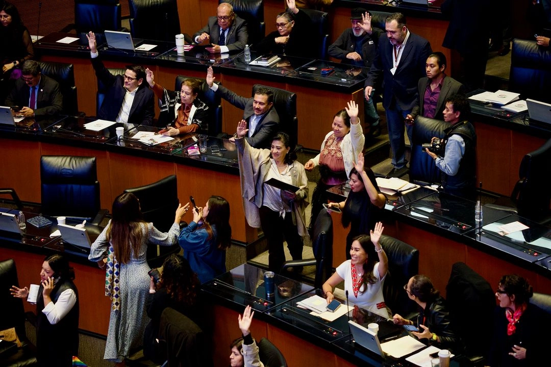 Legisladores durante votaciones en la sesión extraordinaria en el Senado de la Republica, el 24 de junio de 2025. Foto