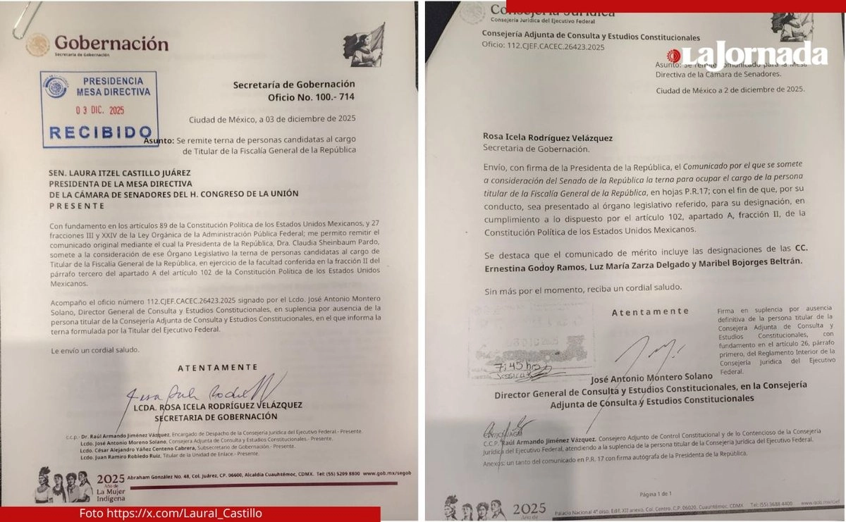 Las tres propuestas de la presidenta Sheinbaum son mujeres con trayectoria en el ámbito jurídico y público, quienes deberán comparecer ante el pleno del Senado y responder a los cuestionamientos de los grupos parlamentarios, antes de que una de ellas se electa como la nueva titular de FGR.