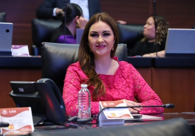 La senadora del PT Geovanna Bañuelos de la Torre arremetió contra la SCJN sobre la distribución de diputaciones plurinominales. Foto @geovanna_b