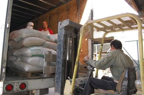 Trabajadores realizan labores de carga y descarga de frijol a una bodega de Sinaloa. Foto ‘La Jornada’ / Archivo