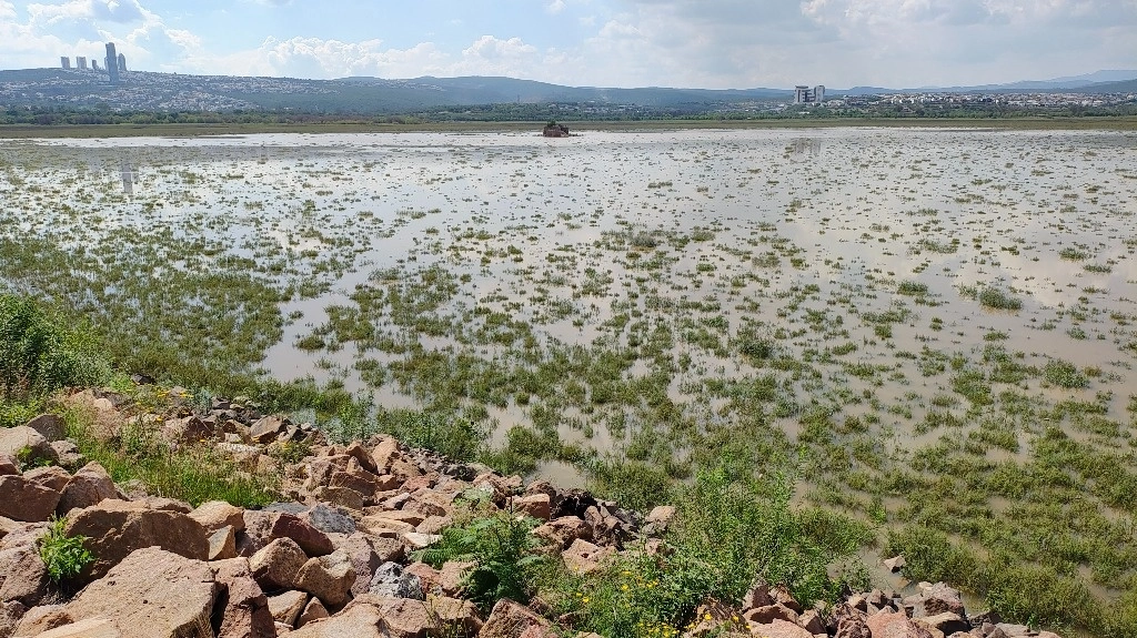 Al inicio del 2024, el vaso de captación estaba al 9.18 por ciento. El agua se perdió por evaporación e infiltración. Foto Carlos García.