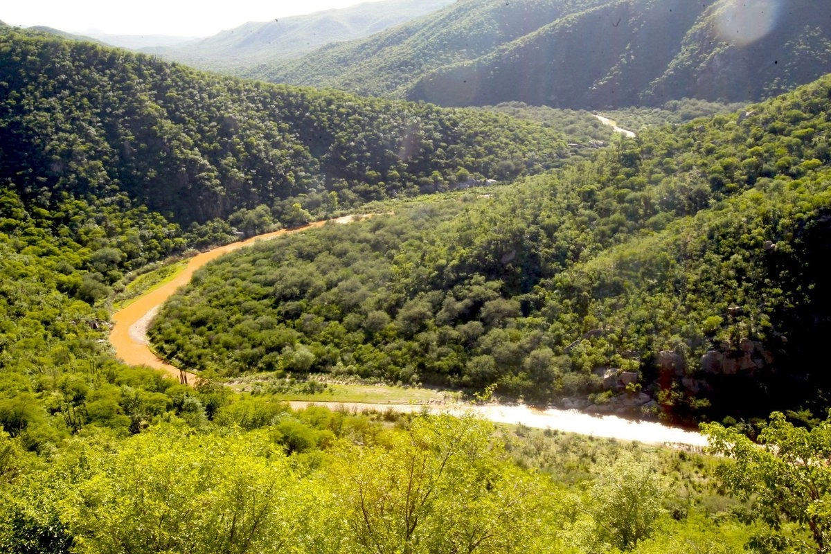 Río Sonora en la comunidad de Aconchi, en imagen de archivo. Foto 