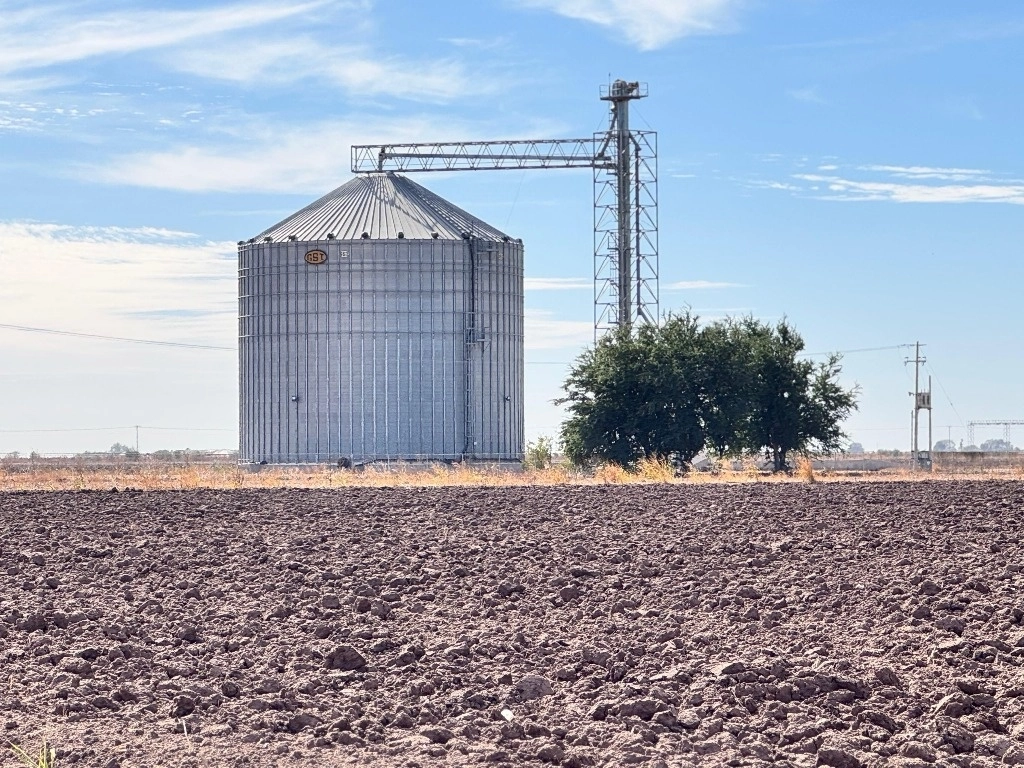 Un silo de trigo vacío y abandonado en un campo agrícola del Valle del Yaqui, en el sur del estado de Sonora. Foto Cristina Gómez Lima 