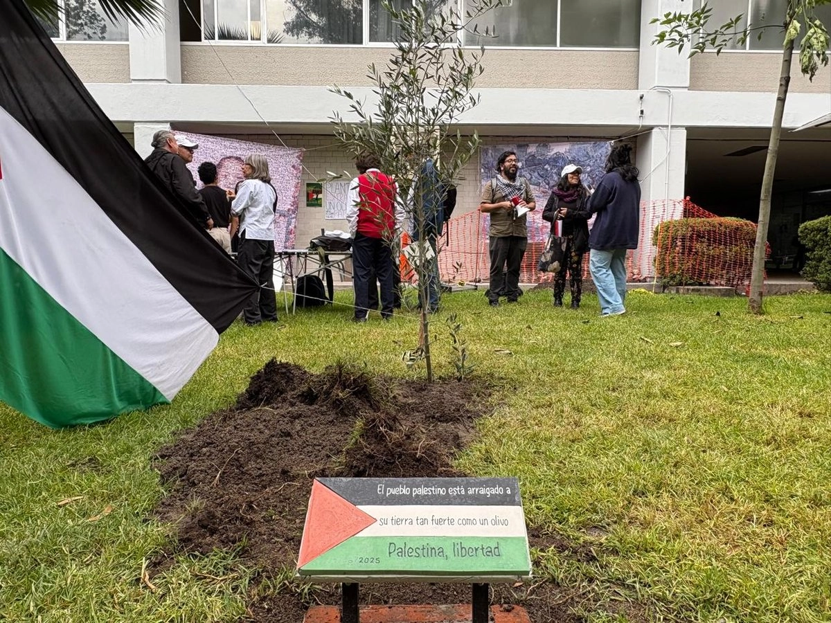 Frente al olivo, instalaron una placa con la bandera de Palestina. Foto 