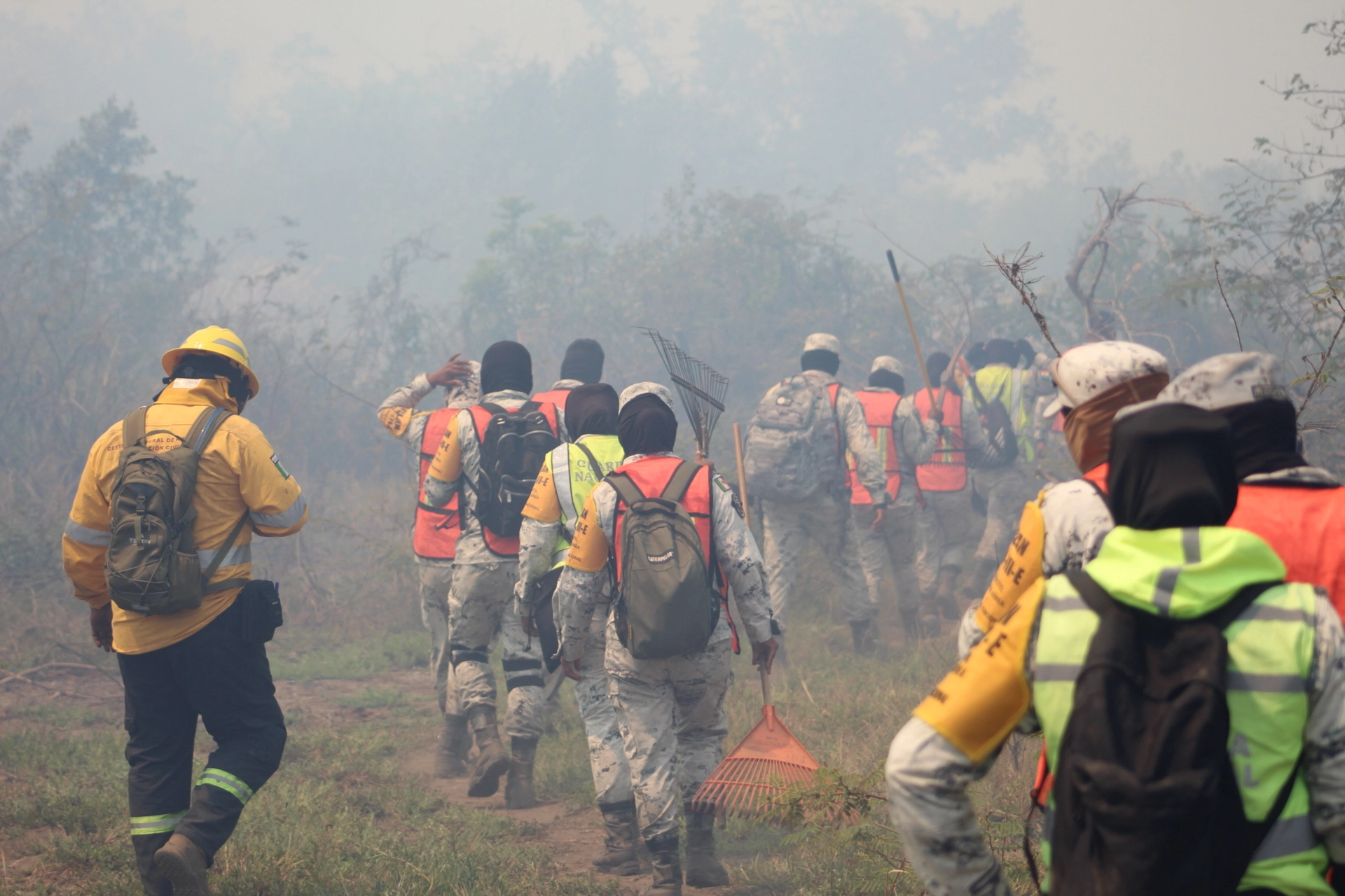 El incendio ocasiona mucho humo blanco, el cual es perceptible desde la calzada de Pie de la Cuesta y la carretera federal Acapulco-Zihuatanejo. Foto