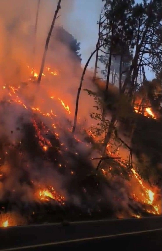En Tenango de Doria, municipio en la región otomí Tepehua, al noreste de la entidad y en los límites de Hidalgo con la sierra de Puebla y Veracruz, el incendio se localiza en las inmediaciones de la comunidad indígena de San Nicolás, a unos 10 km de la cabecera municipal. Foto ‘La Jornada’