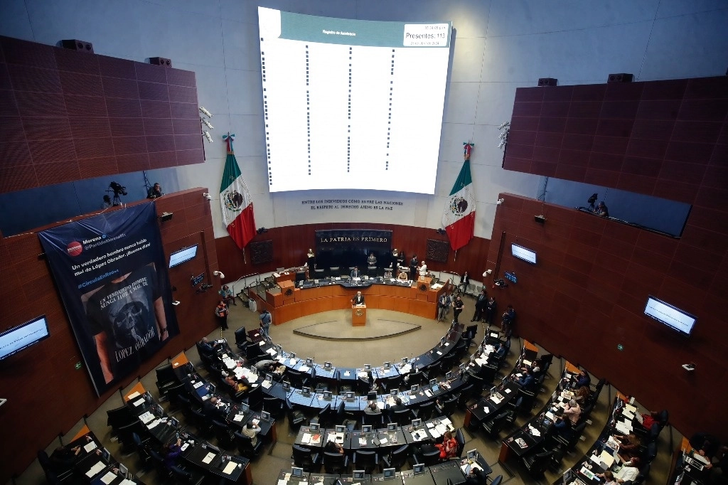 Sesión en el Senado, el 25 de abril de 2024. Foto Cristina Rodríguez