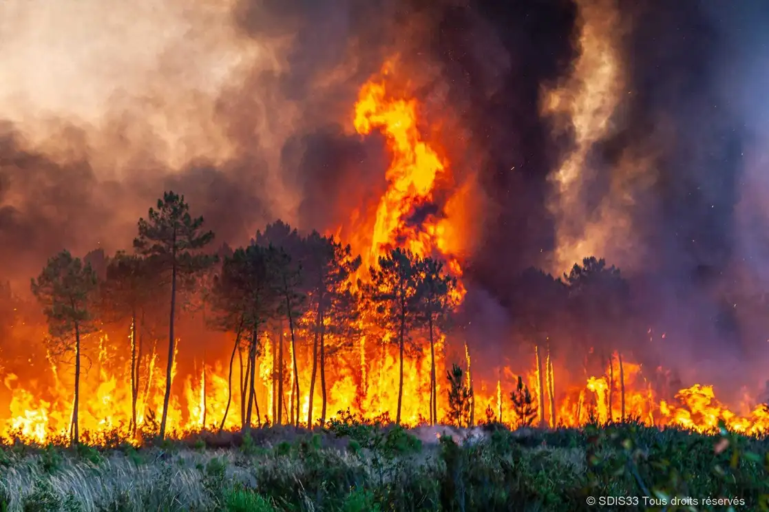 Bomberos de la región de Gironda (SDIS 33) combaten un incendio forestal cerca de Landiras, al suroeste de Francia, ayer. Foto Foto SDIS 33 vía Ap