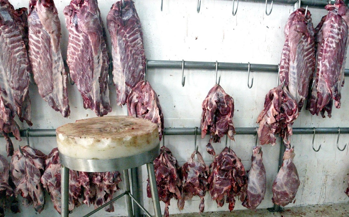 En la agricultura, la ganadería y otras labores de cría y explotación de animales, la inflación al productor alcanzó 14.06 por ciento en septiembre, lo que la vuelve la cuarta actividad donde los costos más se han disparado en comparación con 2021. Foto Guillermo Sologuren