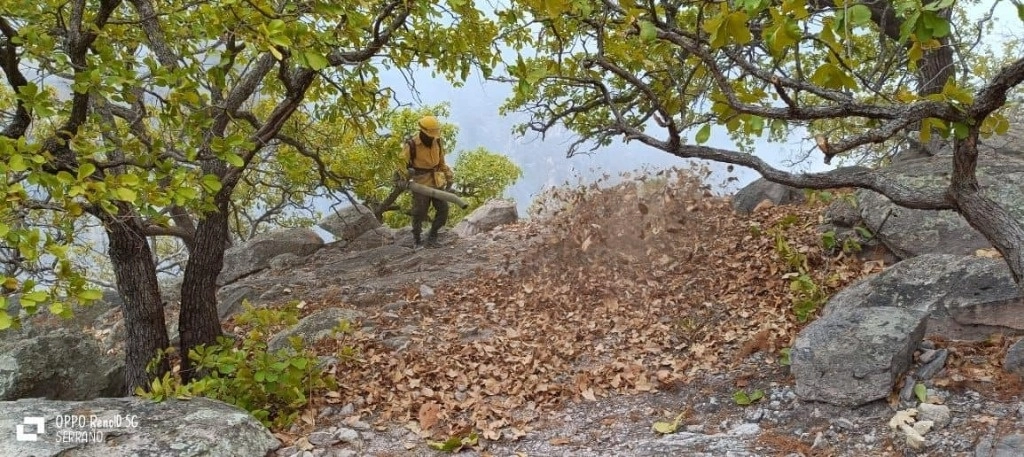 Un nuevo incendio forestal se registró este fin de semana en Pixoyal, Municipio de Champotón,
con apenas siete por ciento de control y cinco por ciento de liquidación, con mil hectáreas afectadas. Foto La Jornada