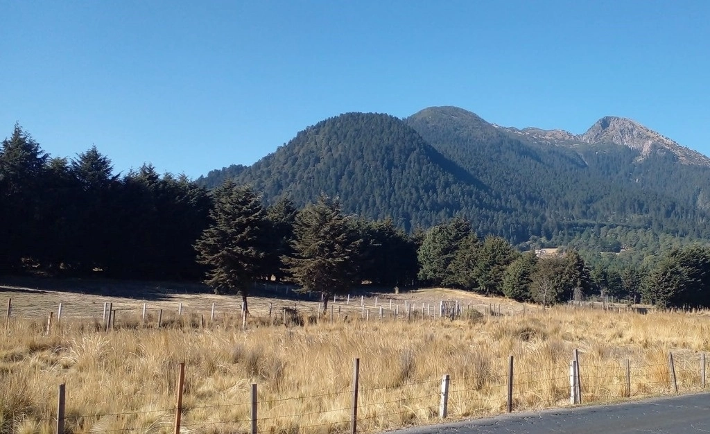 Vista del Volcán del Ajusco, al sur de la CDMX. Foto Tomada de X @asalmendez 