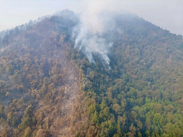el cerro Nanarakui, de la comunidad purépecha de Patamban, municipio de Tangancícuaro. Foto La Jornada