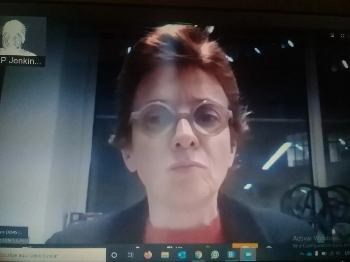 La titular del Inai, Blanca Lilia Ibarra Cadena durante el webinar. Foto La Jornada