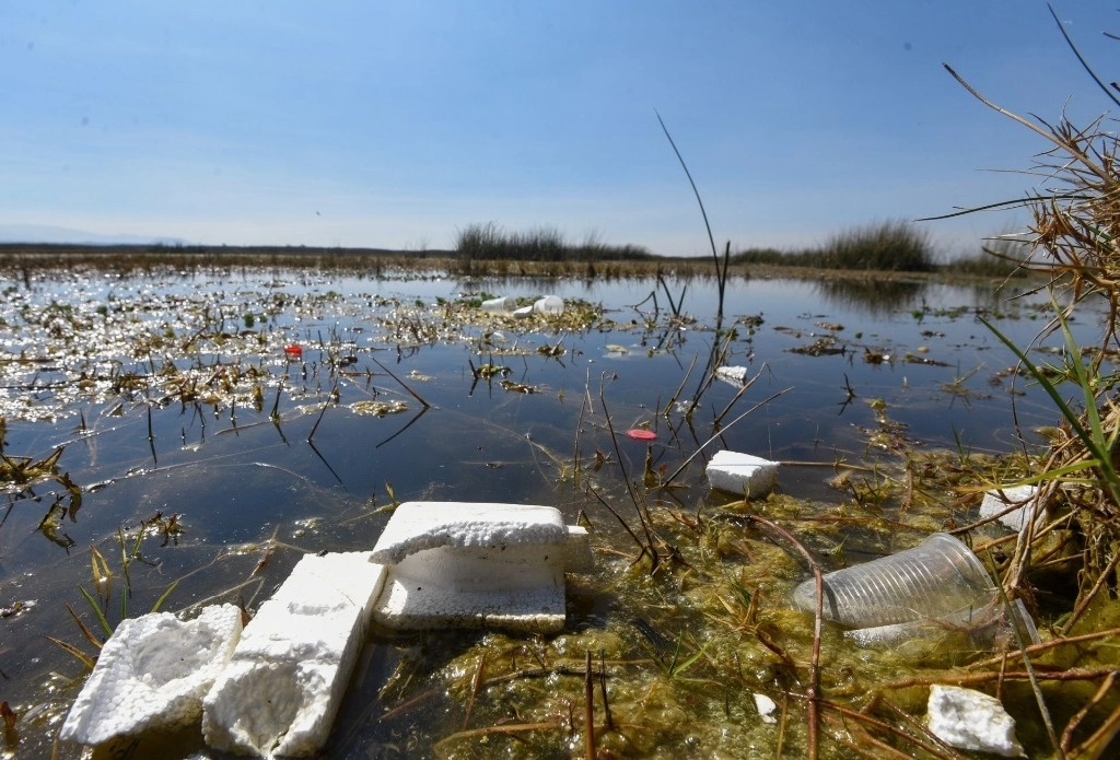 La SRE busca definir la postura de México ante el Comité Intergubernamental de Negociación para crear un instrumento jurídico contra contaminación por plásticos. Foto Cuartoscuro / Archivo
