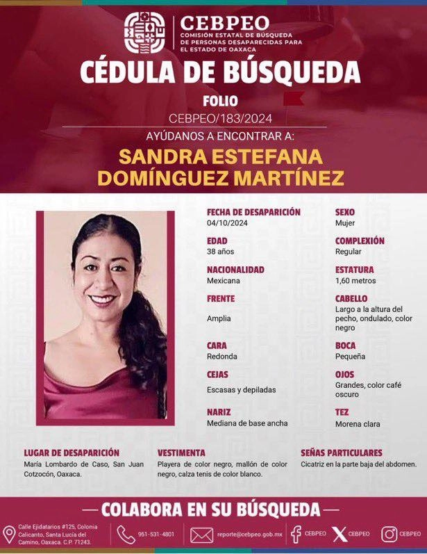 Ficha de búsqueda de la activista Sandra Domínguez 