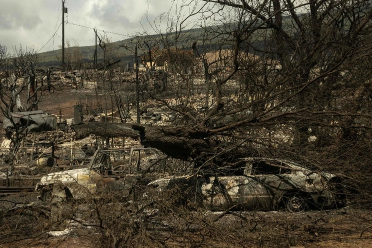 Las cenizas de los automóviles en un vecindario de Lahaina, tras los incendios forestales  en el oeste de Maui, Hawái. Foto Afp