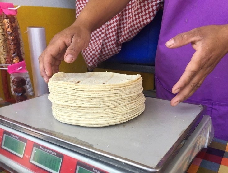 El precio de la tortilla alcanzó los 22 pesos por kilogramo, en la Ciudad de México. Foto Guillermo Sologuren / Archivo 